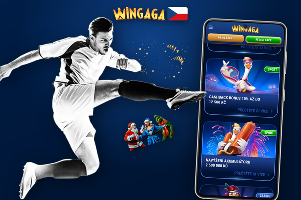 Tipy Wingaga Casino: srovnání grafů nízké a vysoké volatility vedle sloupce žetonů